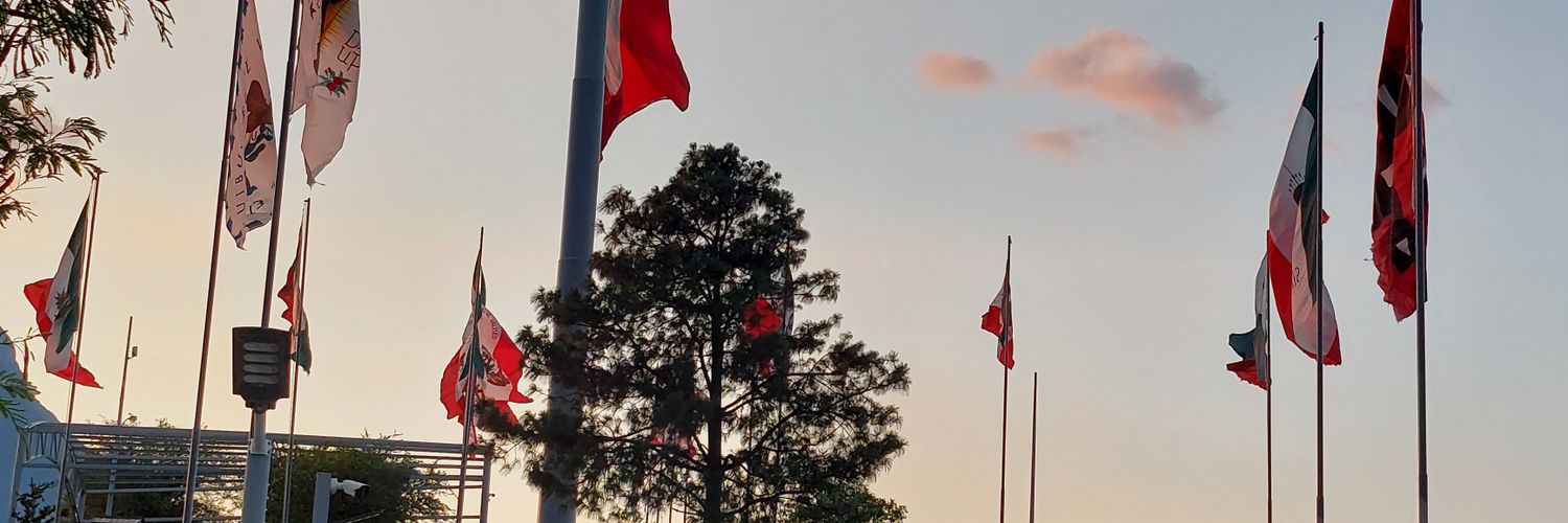 edelolmof's profile banner image