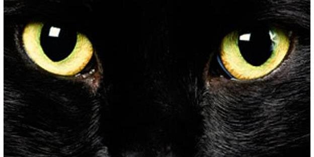 RMarraiso's profile banner image