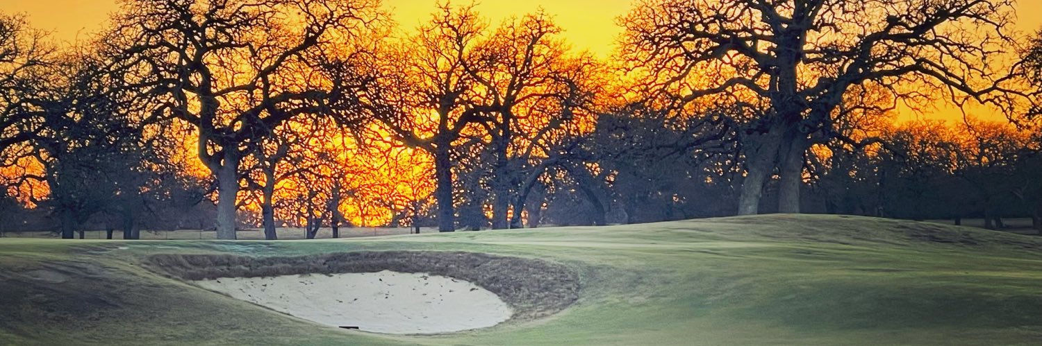 LadyBirdGolf's profile banner image