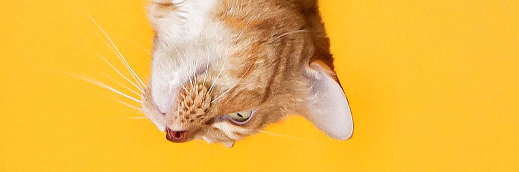 ramin_vp's profile banner image