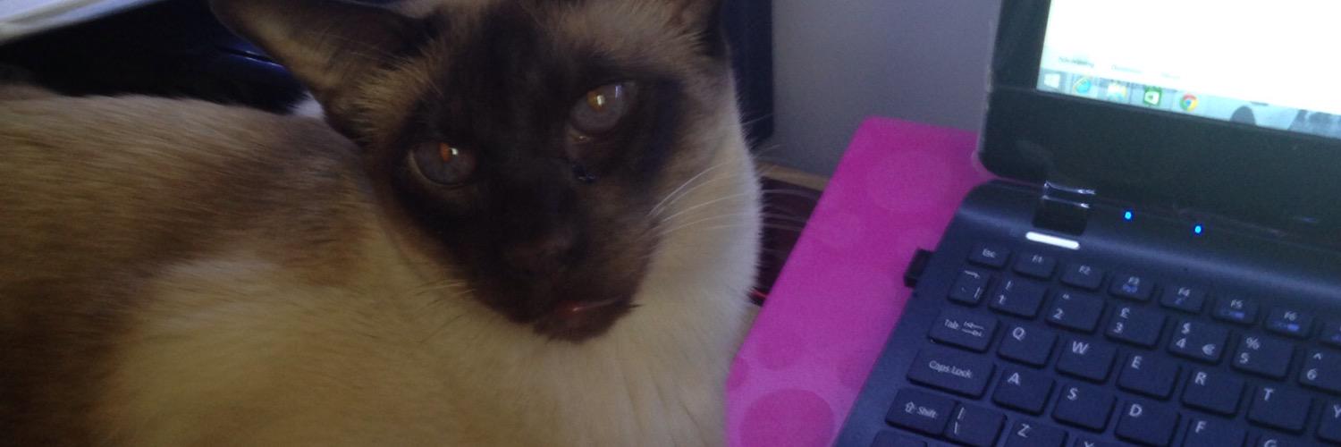 PhyllAtkinson's profile banner image