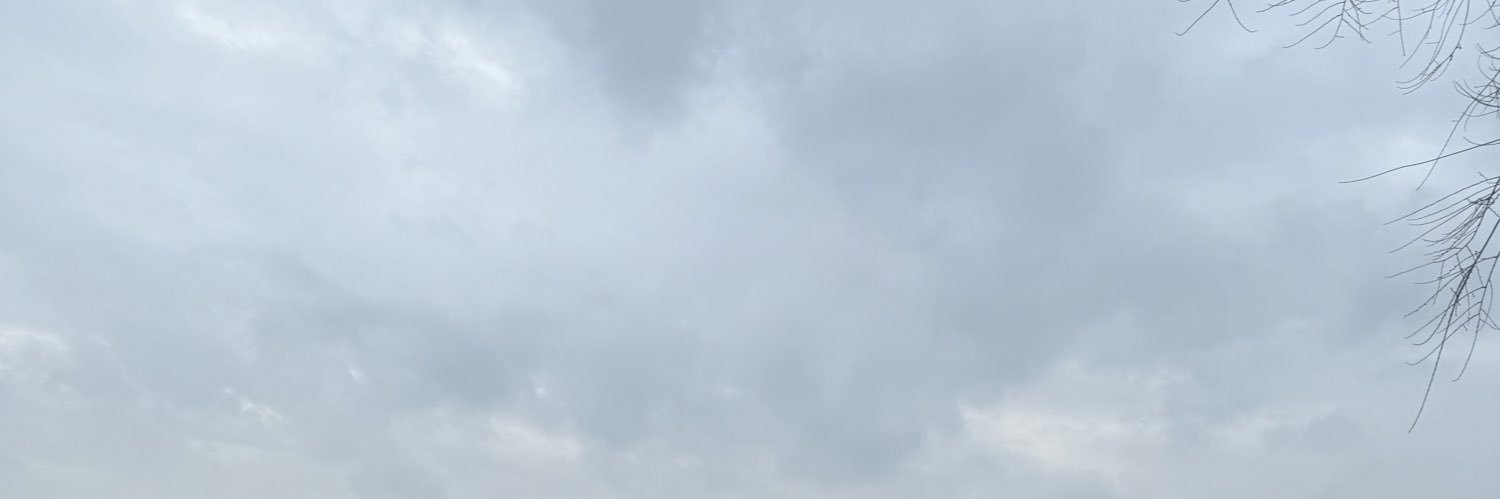 SbeechaAlh's profile banner image