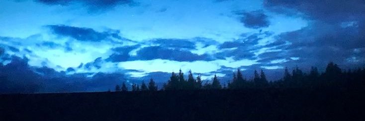 elpanadellofi's profile banner image