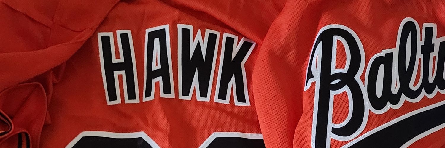 Hawk banner