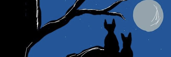 kayysummer's profile banner image