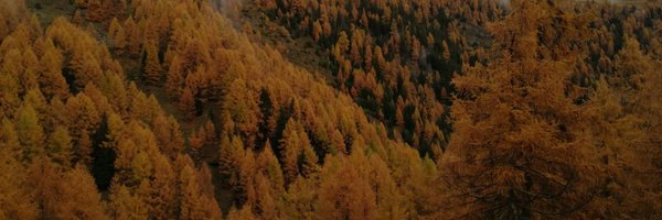 AnderleMatte Profile Banner