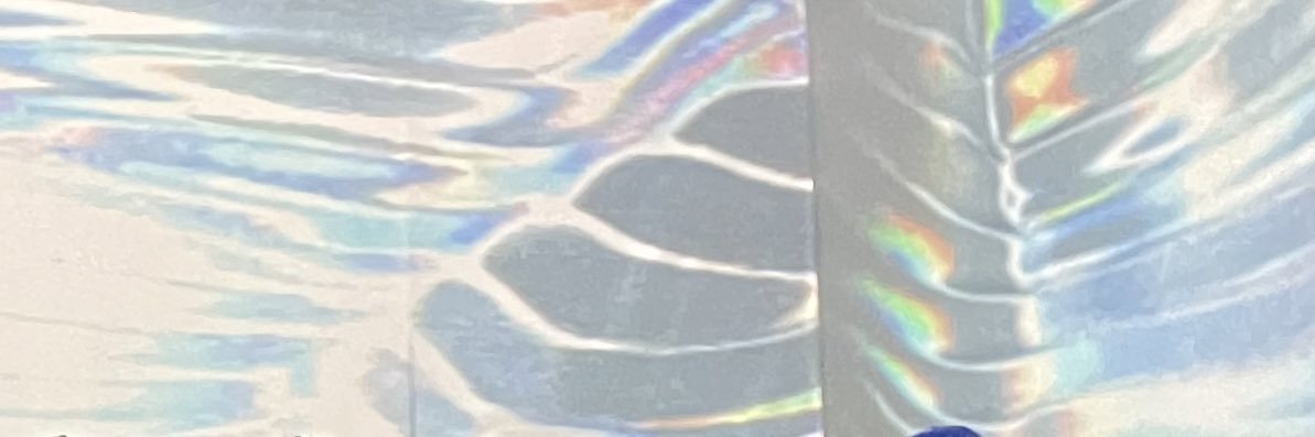 LaraMaxen's profile banner image