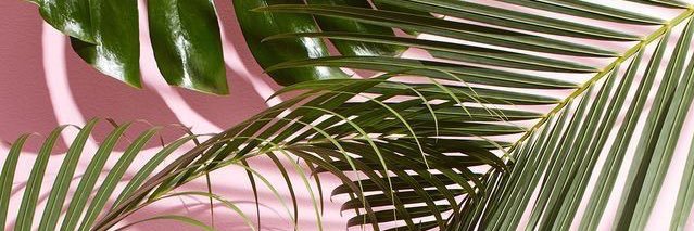 aljos1's profile banner image
