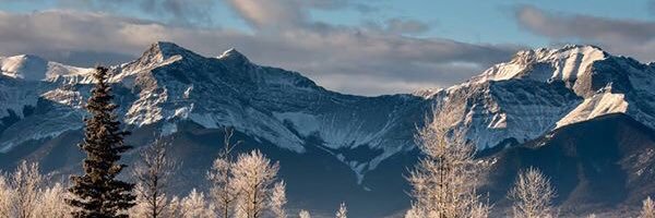 Kalie831's profile banner image