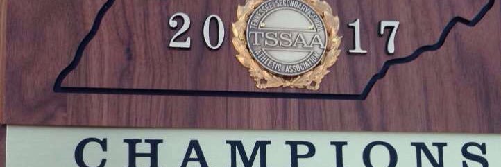 Covington Baseball banner