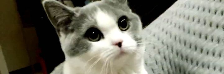 massk123456's profile banner image