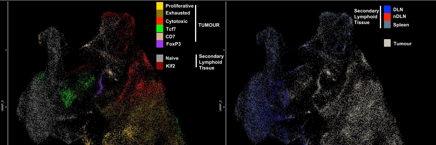 James Thaventhiran banner