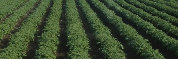 gbackx Profile Banner