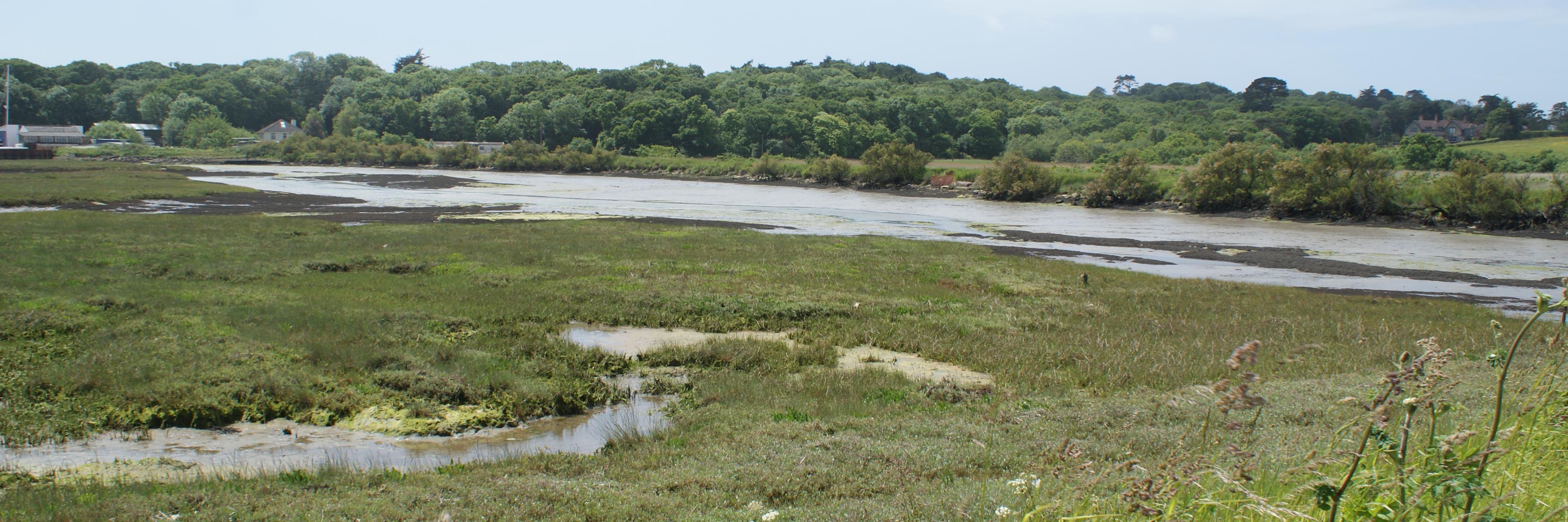 Island Rivers banner