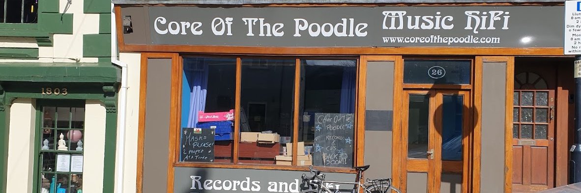 coreofthepoodle's profile banner image