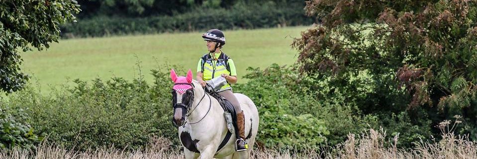 bevkstevens's profile banner image