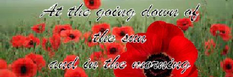 Robin Chapman banner