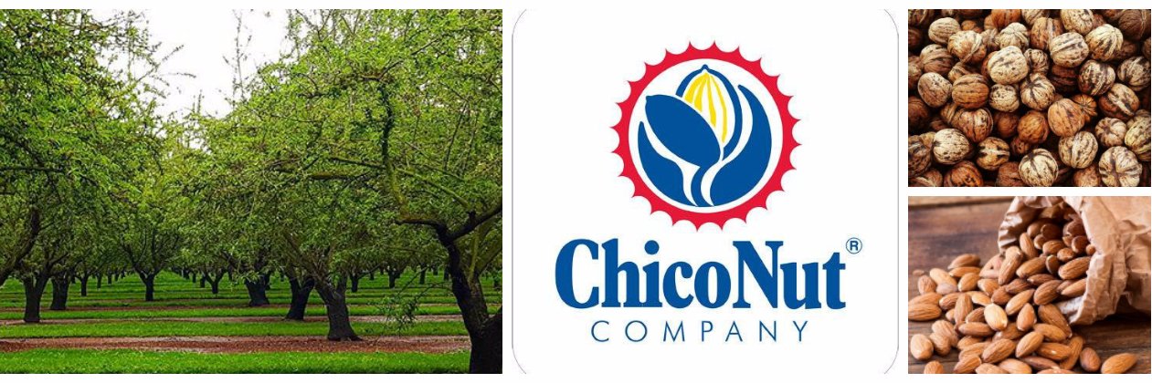 ChicoNutCompany's profile banner image