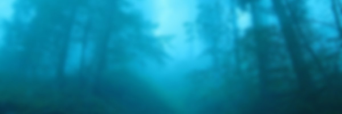 ForestWellsDen's profile banner image