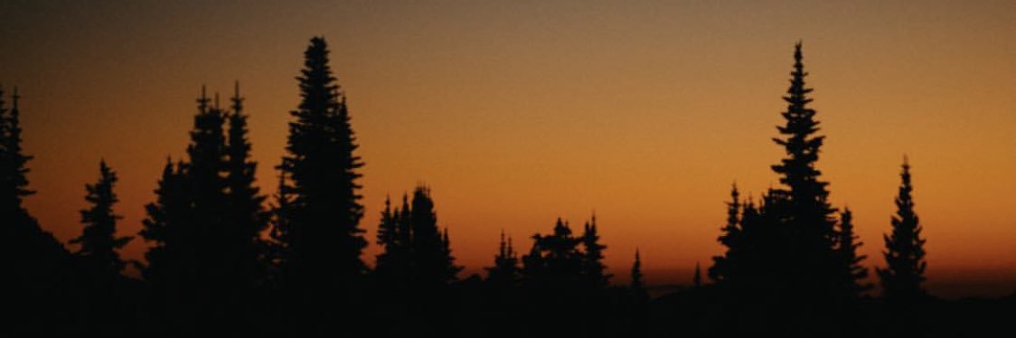HaiMarie1's profile banner image