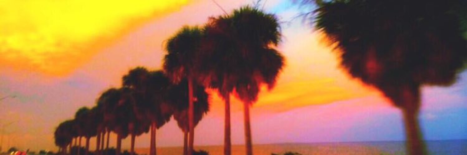 KenzieHalcomb's profile banner image