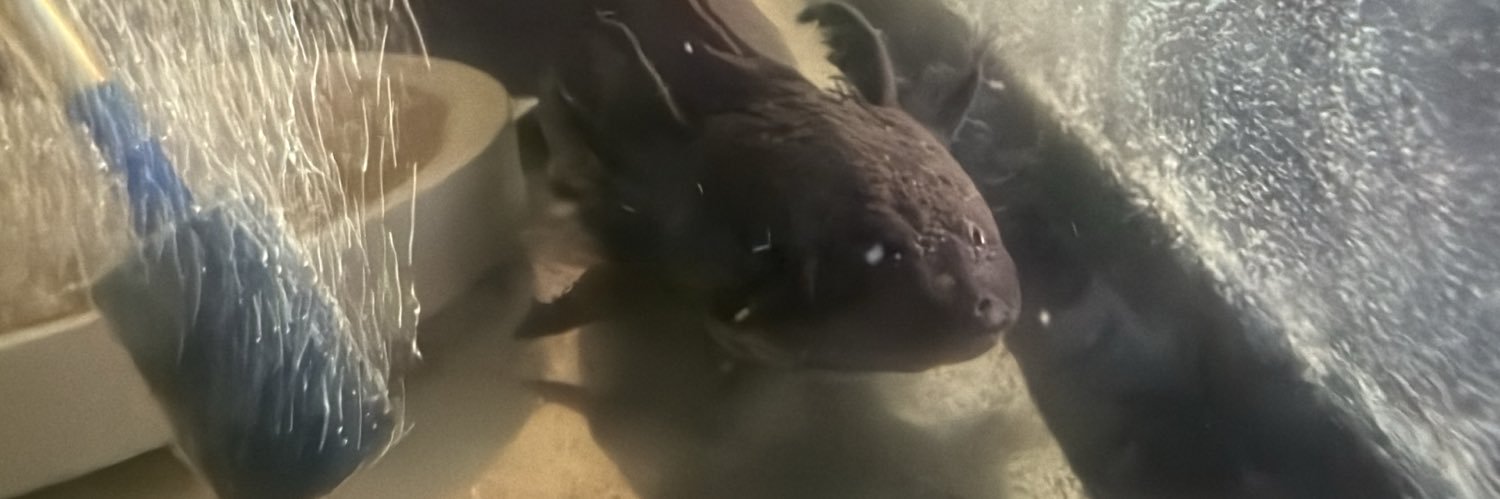 pugafran's profile banner image