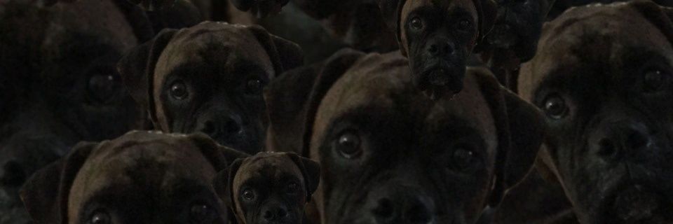 iamCBfM's profile banner image