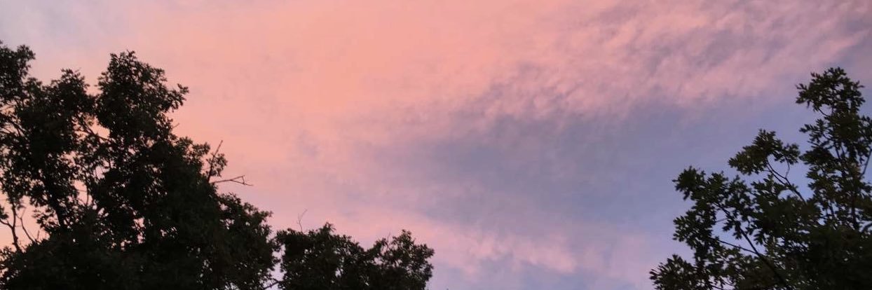 BrandonStasi's profile banner image