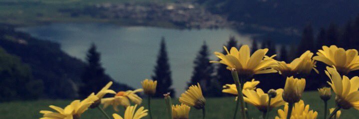 afaf_1111's profile banner image