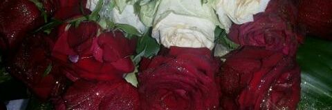 c55e2f80ec6741c's profile banner image