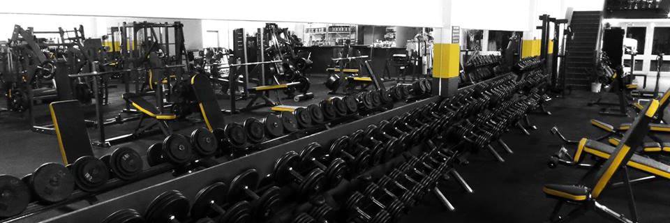muscleperforma1's profile banner image
