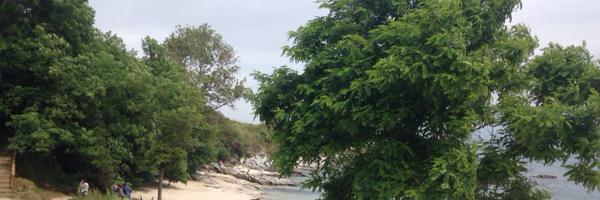 judithdj Profile Banner