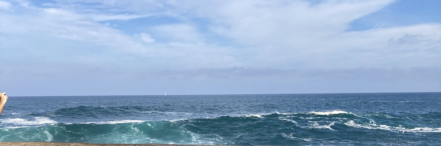 Chenonceaux100 banner