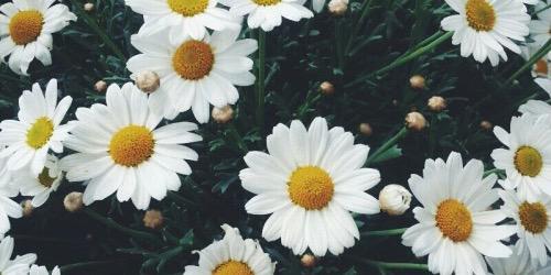 ItsLomaa's profile banner image