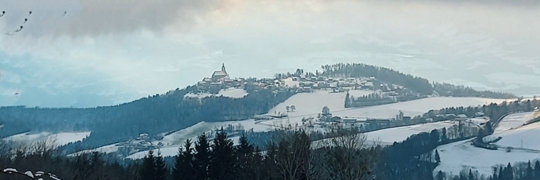 RadlAndrea's profile banner image