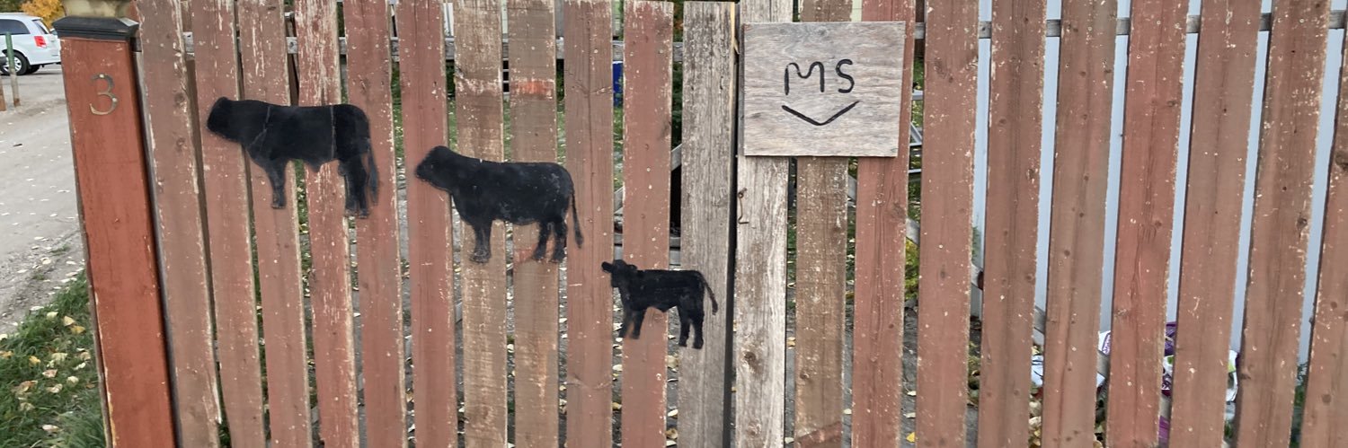 Quick Raven @ Michael Scott OFS banner