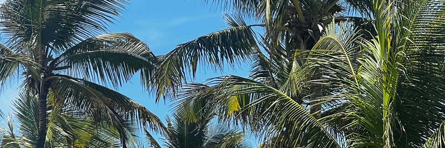 Matheus Baldi banner