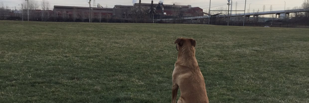 rshaw35's profile banner image