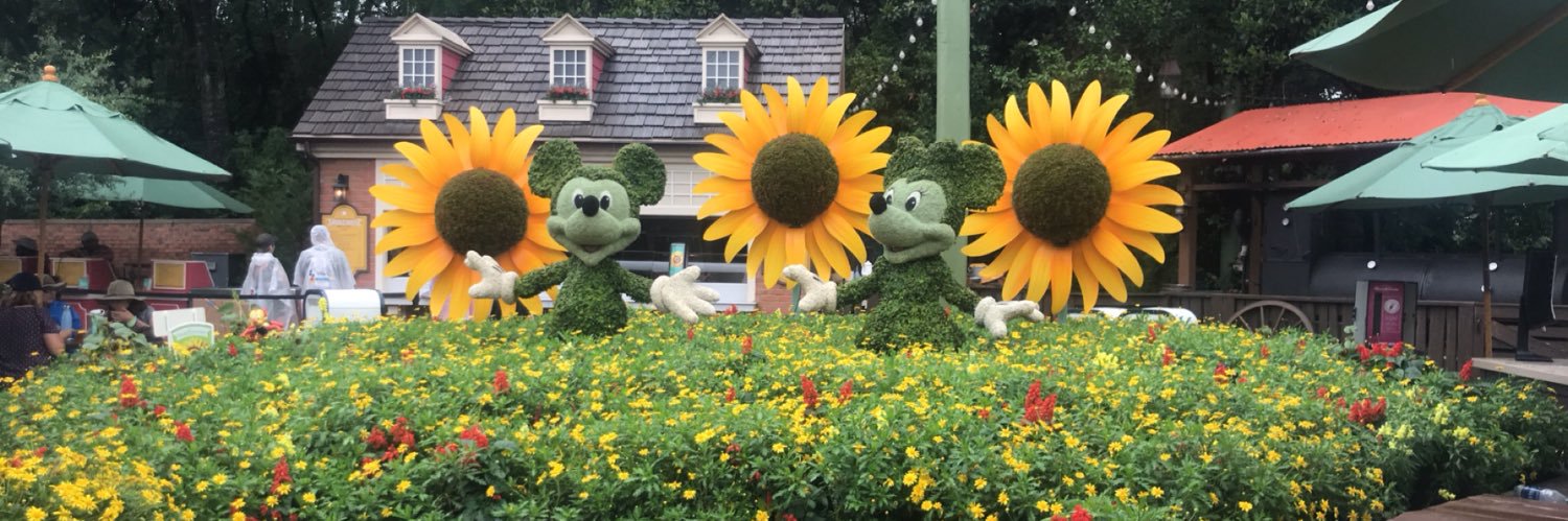 ggrans's profile banner image