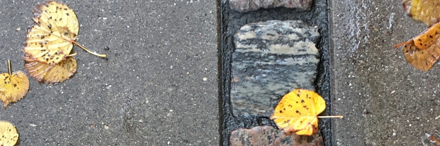 Signe løntoft banner