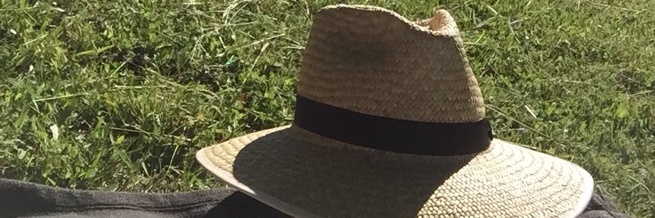 leonguz's profile banner image