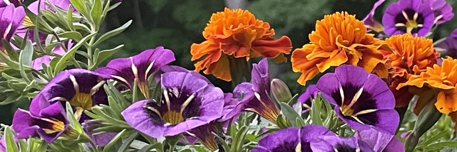 codavison's profile banner image