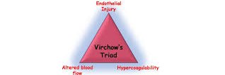 Viirchowstriad's profile banner image