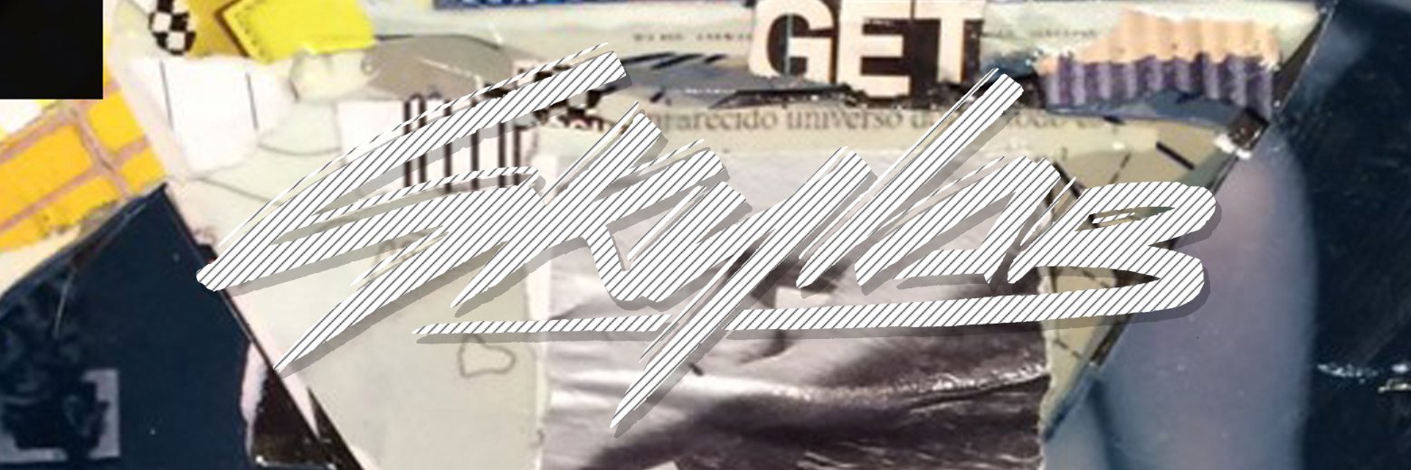 Skylab banner