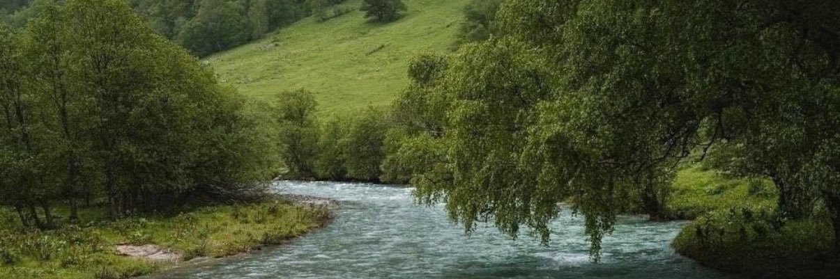 @Mossadiq_Ali banner