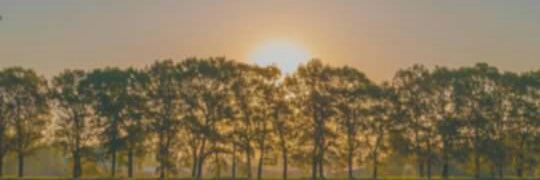andreassa_joice's profile banner image