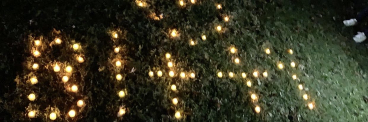 Beautiful_Brann's profile banner image