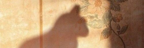 snickersfar's profile banner image