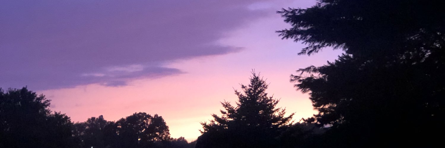 Lexi 🌸 banner