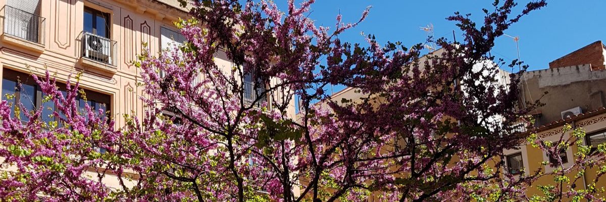 Dalimonsi's profile banner image